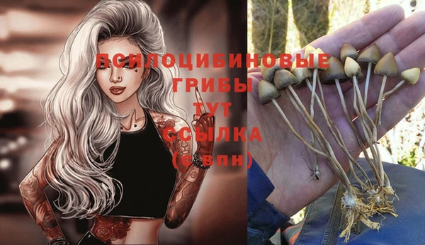 PSILOCYBIN Алексин