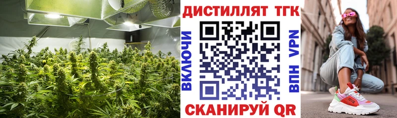 ТГК гашишное масло  что такое   Тамбов 