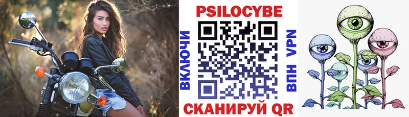 Псилоцибиновые грибы Psilocybe хочу наркоту blacksprut ссылка Тамбов