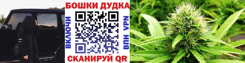 Канабис Bruce Banner  сколько стоит  Тамбов 